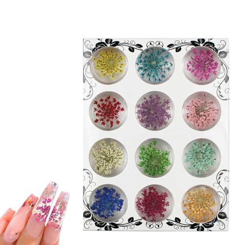 HASLED Kit 12 Couleurs Fleurs Séchées pour Nail Art - Décoration Naturelle pour Ongles, Bijoux et DIY - Boîte Transparente Incluse