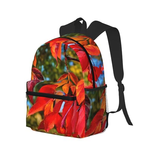 Sac à dos d'université noir pour éviter le mal de dos grâce à sa structure légère - 2