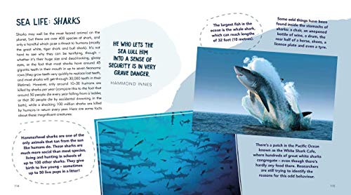 The Sea: Stories, Trivia, Crafts, And Recipes Inspired By The World's Best Shorelines, Beaches, And Oceans #TOP7