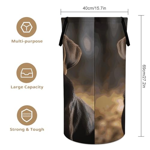 Panier à linge imperméable et pliable avec poignée imprimé labrador