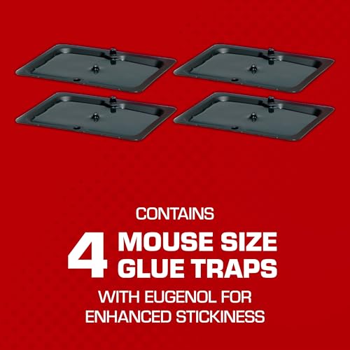 Tomcat Mouse Trap with Immediate Grip Glue for Mice, Cockroaches, Spiders, and Scorpions, Ready-To-Use, 4 Traps
