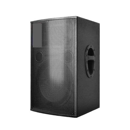 GENTERUN 12-inch 450W Speaker