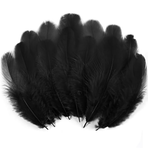 900pcs Black Feathers Bulk for Crafts - 3-5 Inch Natural Rooster Feathers for Dream Catchers DIY Teens Crafts Party & Jewelry Decoration (26 Colors Soft & Fade-Resistant)