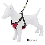 Best Pet Supplies Voyager Adjustable Dog Vest Harness Breathable No Pull Harness for Small, Medium, Large Dogs, Harness for Walking, Jogging, Easy Step-in, Reflective Stripes - Red, M - Image 5