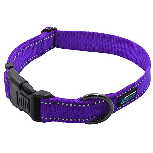 Image of Max and Neo NEO Nylon Buckle Reflective Dog Collar - We Donate a Collar to a Dog Rescue for Every Collar Sold (Medium, Purple)
