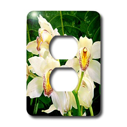 3dRose lsp_9302_6 Orchidées blanches cache double prise murale décorative 2 sorties