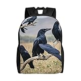 Multifonction : le sac à dos de voyage corbeau est très approprié pour les activités intérieures et extérieures. En tant que sac à dos d'affaires, sac de voyage, sac pour ordinateur portable ou sac à dos spacieux, vous pouvez l'utiliser n'importe où pour les voyages, un usage quotidien, le camping, la randonnée et les voyages de nuit.