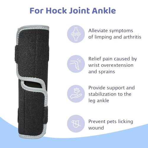 Image of Dog Front Leg Brace - Hock Joint Compression Wrap Providing Stability XL