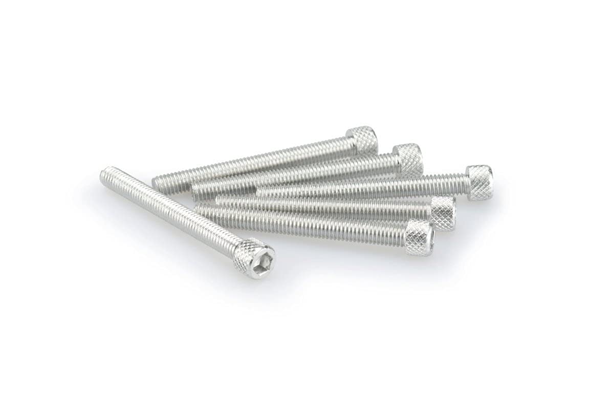 Puig Silver M5 55mm Allen Screws x 6