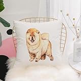 ✿【Ampia applicazione】Le nostre coperture per cuscini sono adatte per divano, letto, casa, ufficio, auto, sedia, caffè, patio, giardino, fattoria, divano, sedile, camera da letto, salotto, banco, pavimento, festa, matrimonio, sala da pranzo, esterno, sedile 窗台 (finestra), sedile a coppia e così via. Sono anche un caloroso e carino regalo per amici e famiglia.