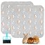 Grey-guinea Pig Print