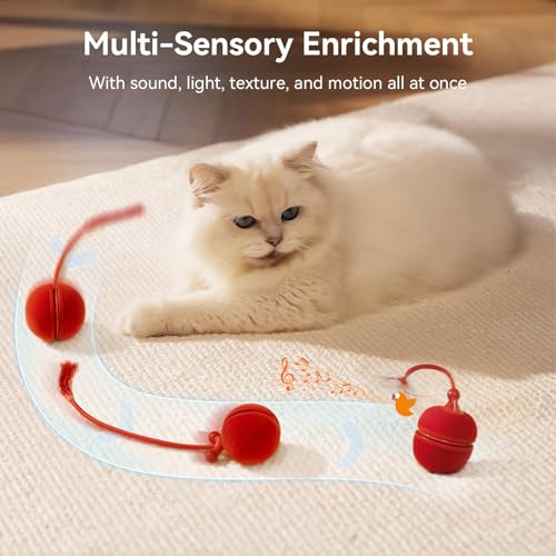 Cheerble Wicked Ball Duo2 – Rechargeable Interactive Dual-Shell Cat Toy — view 6
