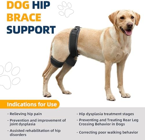 CHAMIN Dog Hip Brace – Support Harness for Hip Dysplasia(Small) Detail