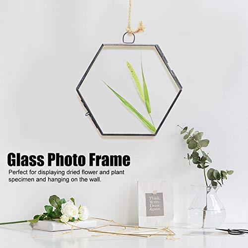 Hanging Geometric Hexagonal Glass Picture Photo Frame Dried Flower Plant Specimen Clip Display #TOP3