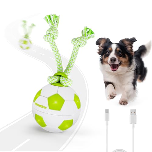 ALL FOR PAWS Interaktiver HundeBall, Beweglicher Hundeball mit LED-Lichtern, Hundespielzeug gegen Langeweile, Bewegungsaktiviertes Spielzeug für kleine/mittelgroße/große Hunde (Fußball)