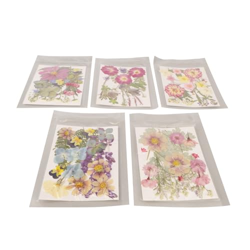 Flores secas coloridas Sanpyl 5 bolsas variadas miniatura 2