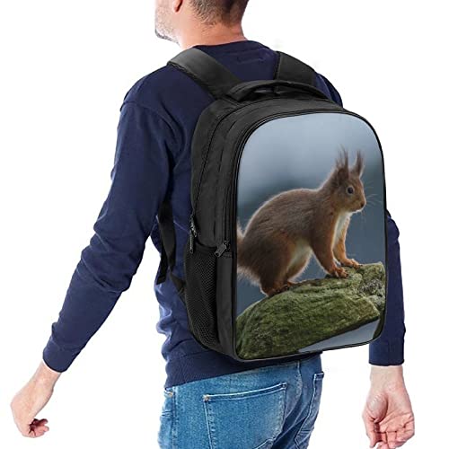 Mochila escolar unisex de ardilla 3D con medidas 40x28x16cm para adolescentes 5