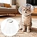 Pet Cone Recovery Collar for Cats, Plastic Adjustable Protective Collar