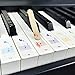 Autocollants pour clavier de piano 88/61/54/49/37. Colorés, notes de musique numérotées, notes de musique, notes de musique, transparents et amovibles