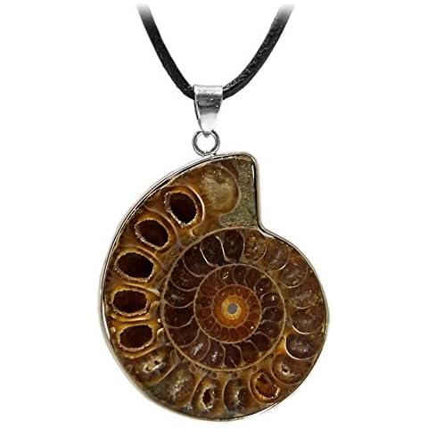Kaltner Präsente - Cadena de piel con Ammonit colgante Cover