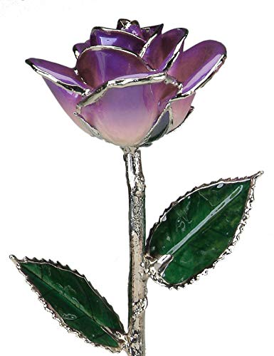 Flash Deals - 70% OFF Allmygold Jewelers Two-Tone Purple Lacquered Platinum Dipped Long Stem Genuine Rose