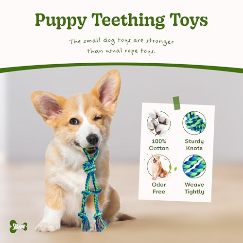 Image of 2 Pack Dog Rope Toy for Small Dogs, Durable Cotton Puppy Teething Toys | Puppy Chew Toys for Teething, Small Dog Toys for Aggressive Chewers, Interactive Tug of War Dog Toy for Puppies Boredom
