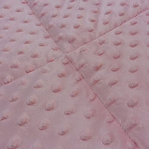 Alansma Reversible Weighted Blanket For All Season, Luxury Velvet, Warm And Cool, Adult Kids 5Lb Weighted Blanket, Enjoy Sleeping Anywhere(Pink,36"X48" 5Lbs) #TOP4