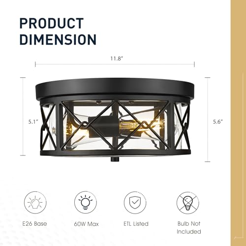 Image of zeyu 2-Light Flush Mount Ceiling Light Fixture, Clear Glass, ZY25-F BK