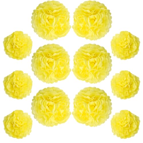 Ruidee Lot de 12 pompons en papier de soie à suspendre de 25,4 cm et 30,5 cm pour décoration de fête, mariage (ZH/jaune)