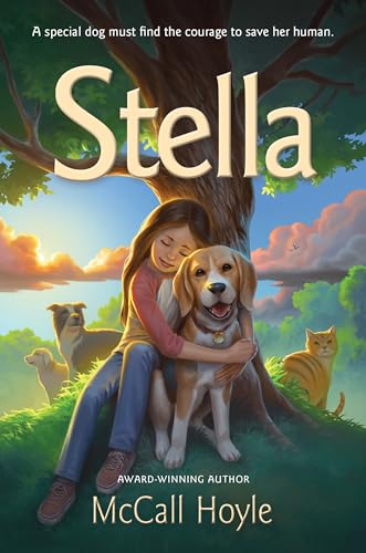 Stella view 2
