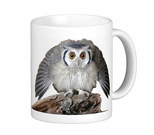 フクロウのマグカップ 3:フォトマグ(世界の野鳥シリーズ)
