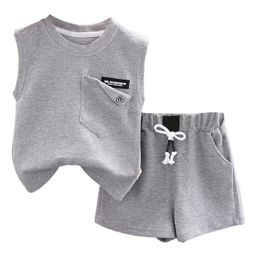 [veolaimy] q j̎q ZbgAbv  ^Ngbv V[gpc {[CY ؍  m[X[u TVc n[tpc LbY _炩 K Ԃ n Vv [EFA  JWA ʉ ʊw s(