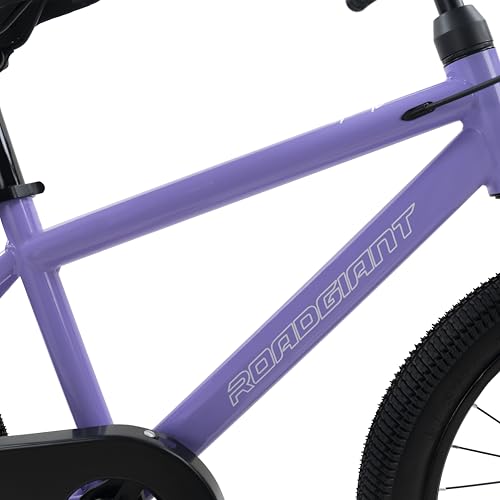 Image of ROADGIANT Showstopper, 20 T, Kids Bicycle, Single Speed, Steel Frame Cycle, Ideal for 6+ Year, Unisex, 20-inch, Dual Colour, Black (Purple)