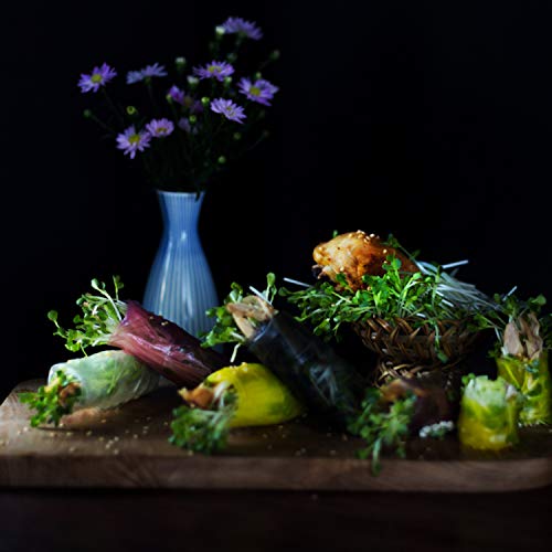 Lyan Mekong River Banh Trang Vietnamese Rice Paper Wrappers, Spring Roll Wrappers, Rice Wrappers For Vegan Spring Rolls- (300G Round 22Cm) #TOP4