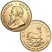 Gold Filled Coin Bezels - For 1/10 Eagle, Canadian Maple Leaf & Krugerrand Gold Coins