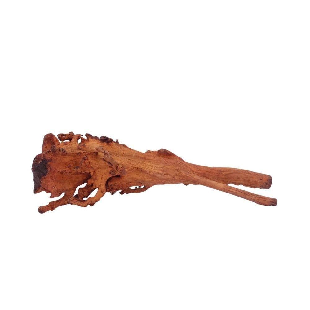 AquaOne Aquarium Wurzel M Jungle Wood Nr.4457 Aquarium Wurzel Holz Deko Aquascaping Dekoration Landschaft Moos Natur Echtholz