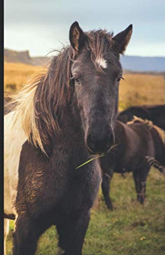 MON CARNET de Mots de Passe: Répertoire avec index alphabétique | Vos données: identifiants et codes confidentielles en sécurité | Cheval dans prairie ... x 20 cm | Idée cadeau original et pratique |