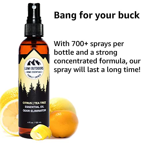 Natural Shoe Deodorizer Spray & Odor Eliminator By Lumi Outdoors - Fresh Citrus Tea Tree Essential Oil Odor Eater #TOP2