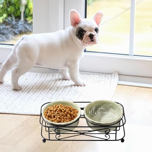 Cuencos de agua de comida para comedor para gatitos en casas modernas 8