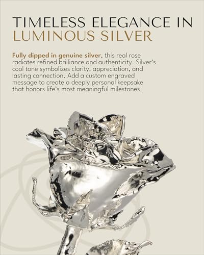 Image of Forever Rose Silver Dipped Rose, Custom Laser Engraved Silver Flower