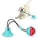 BEANKI Juguete Molar para Mascotas, Multifuncional Pet Juguetes para morder, Molar Bite Toy, Juguete de Bola de Perro de Estilo de Ventosa Resistente a la masticación, con Función Limpieza de Dientes