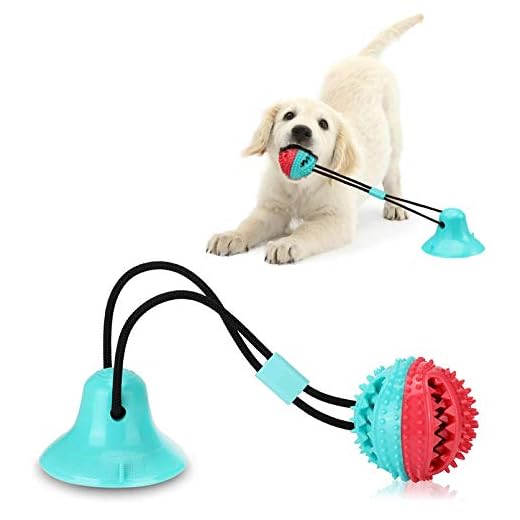 BEANKI Masticare Giocattolo per Cani, Giocattolo Multifunzione per Animali Domestici, Pet Molars Morso Giocattolo, Gioco Palla Rimbalzante Cane con Ventosa, Pulizia dei Denti con Funzione di Cura