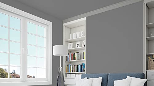 Evolve Paint & Primer: Environment-Friendly, Low Sheen With One-Coat Coverage For Interior & Exterior Surfaces (Graphite Gray, 1-Gallon) #TOP1