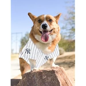 Official MLB New York Yankees Pet Jersey for Dogs & Cats, Size XX-Large - Stylish Baseball Jersey for Your Furry Fan- Show Off Team Spirit with The Perfect Fan Apparel Gear for Pet, Dog & Cat Official MLB New York Yankees Pet Jersey for Dogs Cats Size XX Large Stylish Baseball Jersey for Your Furry Fan Show Off Team Spirit with The Perfect Fan Apparel Gear for Pet Dog Cat