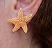 Real Starfish Earrings