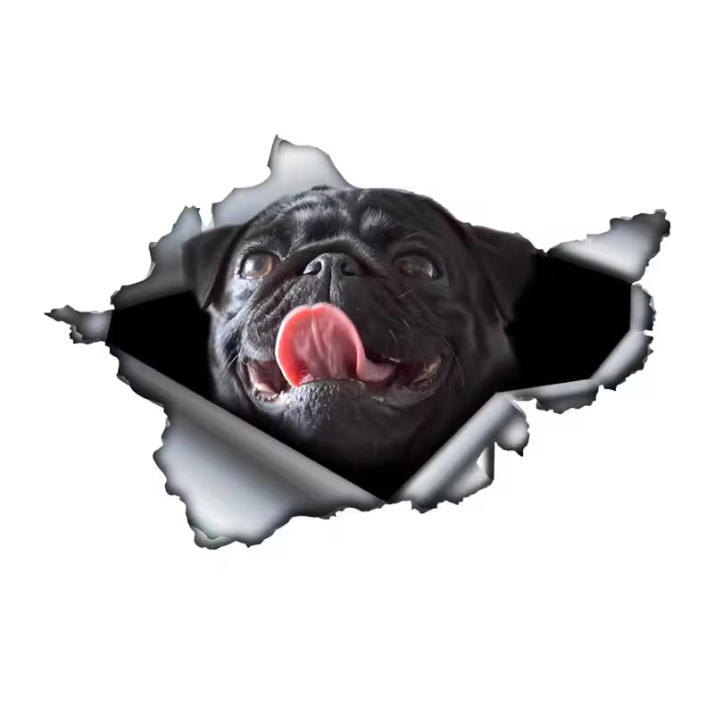 Mops Autoaufkleber, Schwarzer Mops mit herausgestreckter Zunge, 3D Zerrissener Effekt, Reflektierend Wasserdicht, PVC-Aufkleber für Auto, Laptop, Kühlschrank ((18cm/7.09inch))