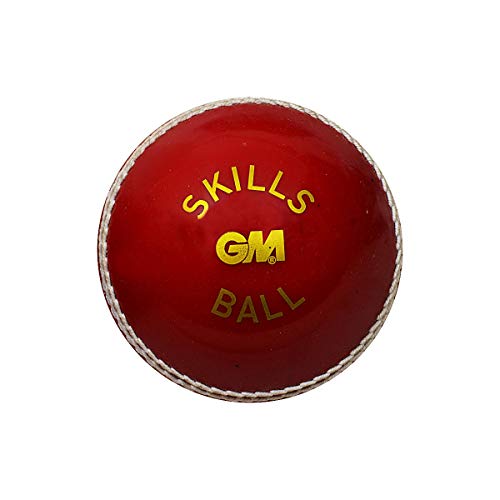 GM Skill Poly Soft Tennis Cricket Ball (Red)