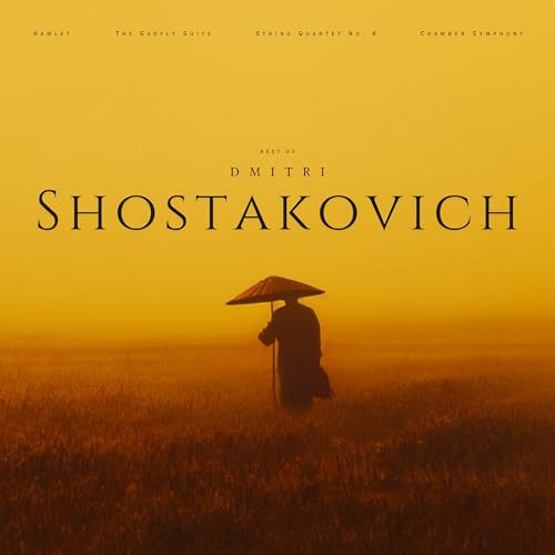 Novosibirsk Chamber Orchestra & Mikhail Turich