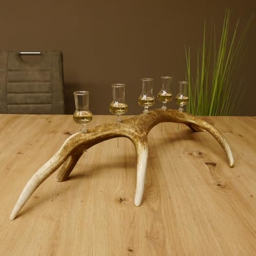 GTK - Geweihe & Trophäen KRUMHOLZ Proveedor de chupitos 5 vasos pequeños de cristal con mango en barra de ciervo rojo regalo 27.60.2.57