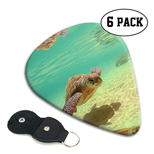 Lord Howe Island Sea Turtle Lot de 6 médiators pour guitare acoustique, guitare électrique, basse, ukulélé – fin, moyen… - Les Beatles, Paul McCartney, John Lennon, RIngo Starr, George Harrison Lord Howe Island Sea Turtle Lot de 6 médiators pour guitare acoustique, guitare électrique, basse, ukulélé – fin, moyen… – Image 3